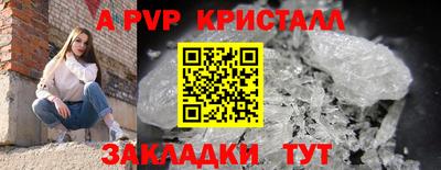ПСИЛОЦИБИНОВЫЕ ГРИБЫ Краснознаменск