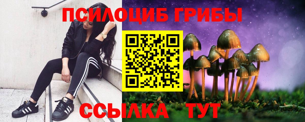 Псилоцибиновые грибы Magic Shrooms Ейск